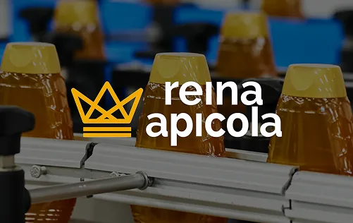 Proyecto de marketing digital de Reina Apícola